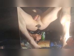 delving into the realm of zoophilia