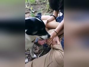 Delve into Zoophilia's Taboo: Tiersex & Beastiality