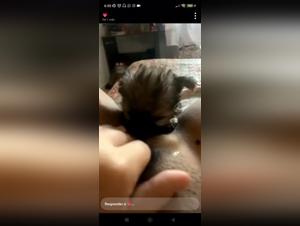 Brazilian Girl Dog Zoophilia Sex Videos