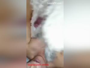 Liltimy artofzoo fucks her dog shemale, creampie cumshot