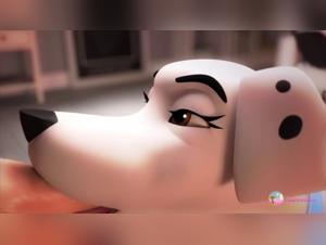 Fun times with four-legged friends