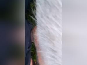 bestiality cartoons onlyfan