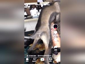 Forbidden Frontiers: Delving into Zoophilia's Dark Side