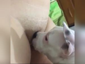 Bestial encounter: a woman and her dog