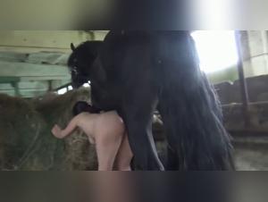 exploration cash plus mobile zoophilie