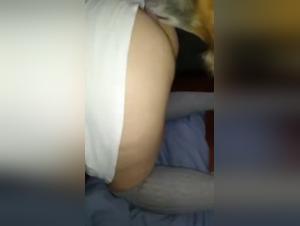 Woman offers pleasure to her dog in a bestiality video