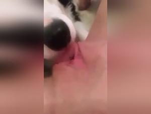 Woman and dog: a shocking bestiality video