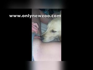 Sex with a dog: a young girl and her dog in an extreme zoophilia scene