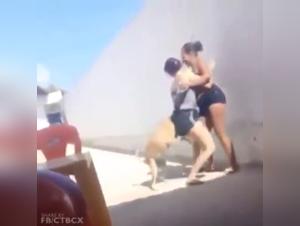 free beastiality videos