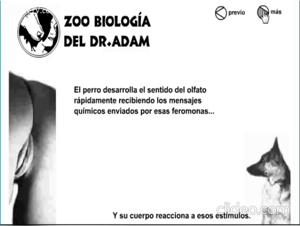 Bestiality training: discover the art of sex with dogs