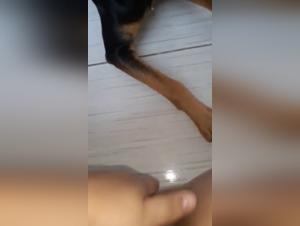 Bestial and intense encounter with a dog