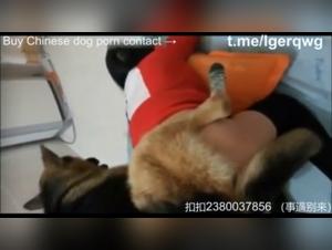 Asian woman and dog: a shocking zoophilia video