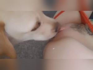 bestiality my dog fucker