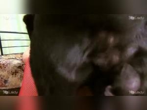 K9 Lady - Ashley - Animal Temptations: An Extreme Bestiality Sex Experience