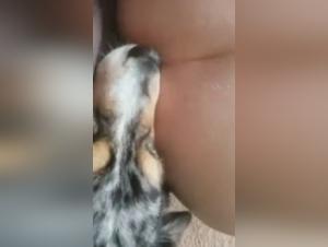 Bestial threesome: a unique experience