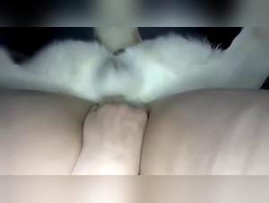 Female Dogger Makes a Man's Dog Ejaculate