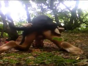 marco meschini's bestiality scandal exposed