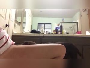 Girls Fucking Their Dogs After Shower