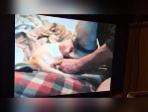 Bestiality: a woman and her dog in a shocking video