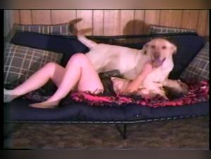 Unveiling Hidden Desires: Dog Bestiality Explorations