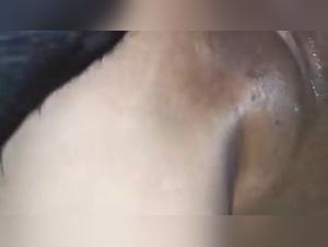 Sex with Dog Video: A Brazilian Girl and Her Dog