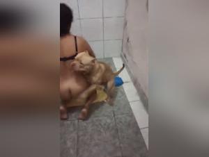 Bestial and intense encounter with a dog