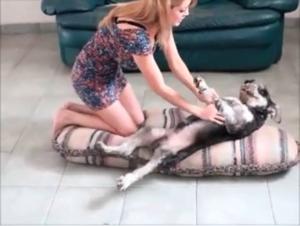 Zooville's Hidden Pleasures