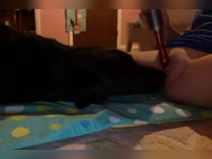 Bestiality sex video with a teenage girl and her dog