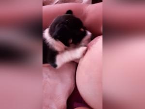 A Woman and Her Dog: An Intimate Encounter