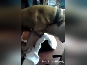 Exciting Asian Zoophilia Video