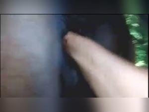 xxxanimal beastiality