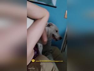 Bestiality Sex Videos - Squeekerz