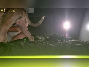 Femme ronde et son chien : une vidéo de zoophilie à ne pas manquer