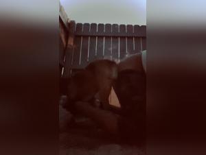 Exploring the Dark Realm of Bestialica