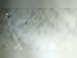 Forbidden Sisterly Love: A Shocking True Story of Bestiality and Extreme Sex