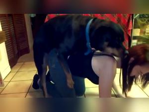 Forbidden Meeting: Woman and Dog