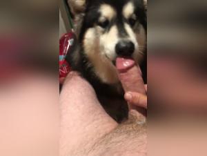 Bestial encounter: woman and dog