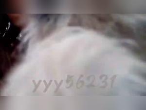 Japanese woman and her dog in shocking bestiality video