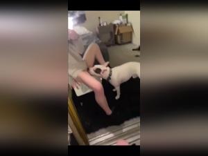 liltimy et bestiaire tube