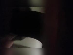 dog fuckers compilation