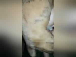 Bestiality: Woman and dog in a shocking video