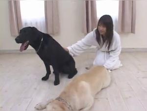 Japanese Dog Sex Video