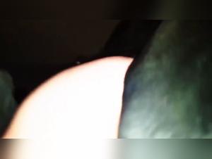 Bestiality: a woman and her dog