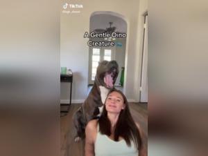 Extreme Bestiality: Zoophilia Video with a Dog