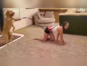 Naughty and exciting walk with a dog