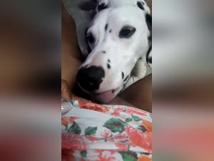 Sex Video with a Dog - Extreme Bestiality