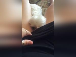 The Hottest XXX Videos for Artificial Incest and Porn Lovers