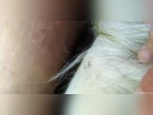 Selena and her canine friend in a zoophilia video