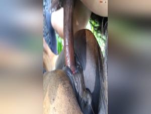 Intense and Exciting Zoophilia Videos on Zoofbahia