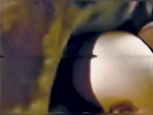 Capucine and her canine companion in a vintage bestiality video